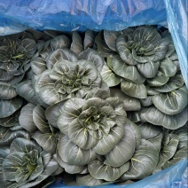 黑菜太湖菜