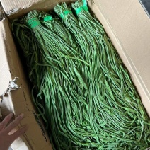 大理宾川贡菜大量上市中，贡菜青笋跟贡菜成品都有。价格随行