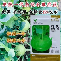 靓甜一号二号培兰种籽皮薄无筋甜脆早熟水果丕兰种籽大田基地