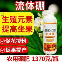 流体硼大瓶小分子硼促花果提高坐果防落果提产量籽粒饱满