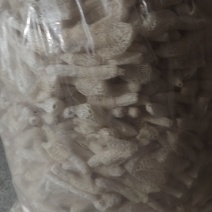 竹荪干货