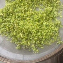 石斛花