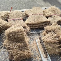 粉丝