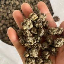 各种类型在线
