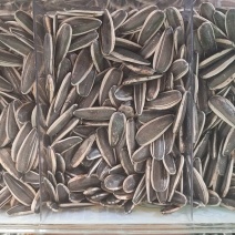 内蒙古生熟瓜子，大量对接市场，商超，电商一件代发，欢迎咨询