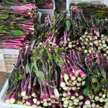 湖北红菜苔清甜