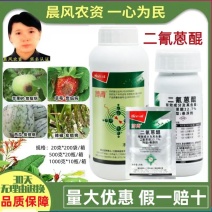 禾益博青22.7%二氰蒽醌西瓜辣椒炭疽病防治强效杀菌