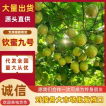 广西黄金百香果钦蜜9号百香果，香又甜产地直发新鲜直达。