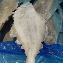 整条鲽鱼比目鱼鸦片鱼无冰大鲽鱼蝶鱼海鱼批发商用整条鲽鱼