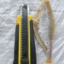 中号剥皮鱼干地摊电商批发剥皮鱼干目肉鱼干干鱼