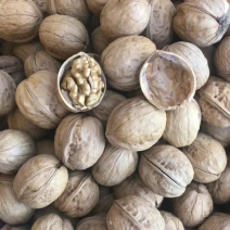 核桃薄皮纸皮干核桃果仁饱满白仁为主薄皮纸皮干核桃薄皮纸皮