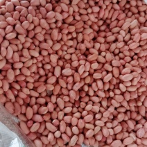 花生米鲁花白沙商品精选8个筛上过筛色选米