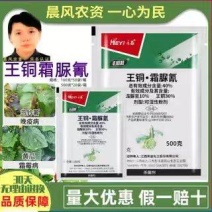 禾益丰挺壮40%王铜霜脲氰马铃薯黄瓜晚疫病霜霉病专用药杀