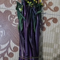 富硒高山红菜苔