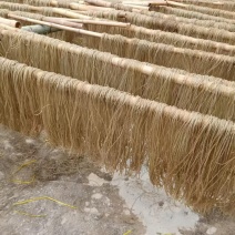 红薯粉丝