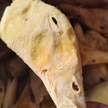 单冻带舌填鸭头