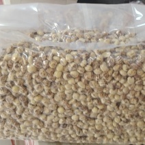 脱皮油莎豆现货一万吨