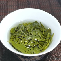 2025春茶恩施富硒绿茶口粮茶批发