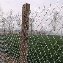 圈牛羊猪网养殖网钢丝网圈地网铁丝网护栏网围栏网栅栏网