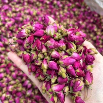苦水玫瑰大货供应