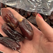 大颗粒黑椰枣