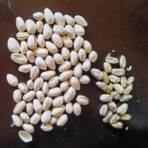 开心果电商货