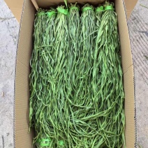 精品云南贡菜干大量接单货源充足价格美丽欢迎来电合作
