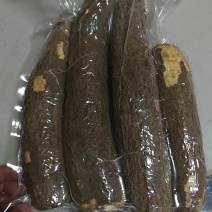 黄肉木薯