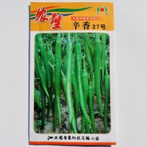 农望辛香长线椒种籽香辣皮薄高产春秋播种杭椒种籽大田基地
