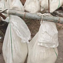 纯红薯粉