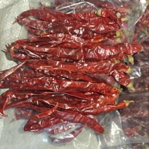 二荆条辣椒干（样品）