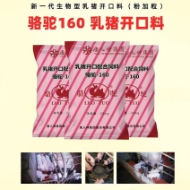 乳猪开口料（教槽料）