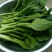 农家菜心