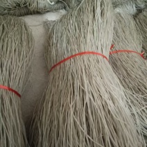 红薯粉丝