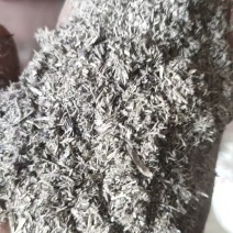 葵花皮粉