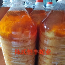 养殖基地批发高纯眼镜蛇油（1瓶5公斤）