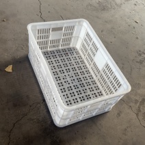 蘑菇筐，多用筐，塑料筐，水果筐，蔬菜筐
