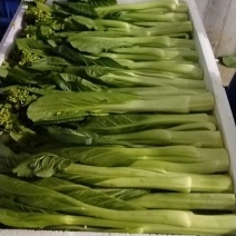 连州迟菜心