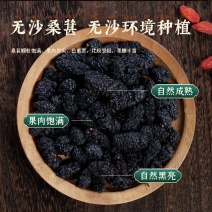 桑葚中药材正宗桑葚无硫无熏染无染色保证正品