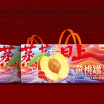新年水果罐头礼盒约起来