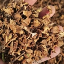 榛蘑碎片批发