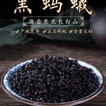 黑蚂蚁中药材红蚂蚁干货正品个头大