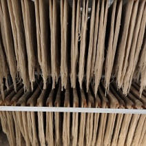 红薯粉丝