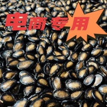 电商西瓜子，大片西瓜子，话梅，五香厂家直供，全国发货量大