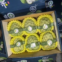 漳州凤梨释迦，果肉Q弹软糯细腻，支持一件代发，品质供应