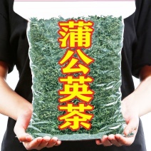蒲公英茶长白山无硫新货蒲公英泡水喝茶新鲜婆婆丁蒲公英茶