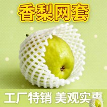 大包装水果网套桃子防震苹菓枇杷保护梨防摔猕猴包装花菜泡沫橙子