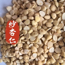 炒杏仁苦杏仁山东杏仁东弘药业一手货源现货供应