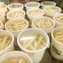 去皮木薯，白条，华南九号