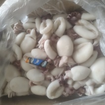 墨鱼仔